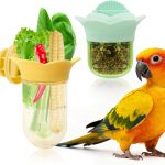 parrot food pellets