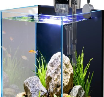 glass aquarium tank