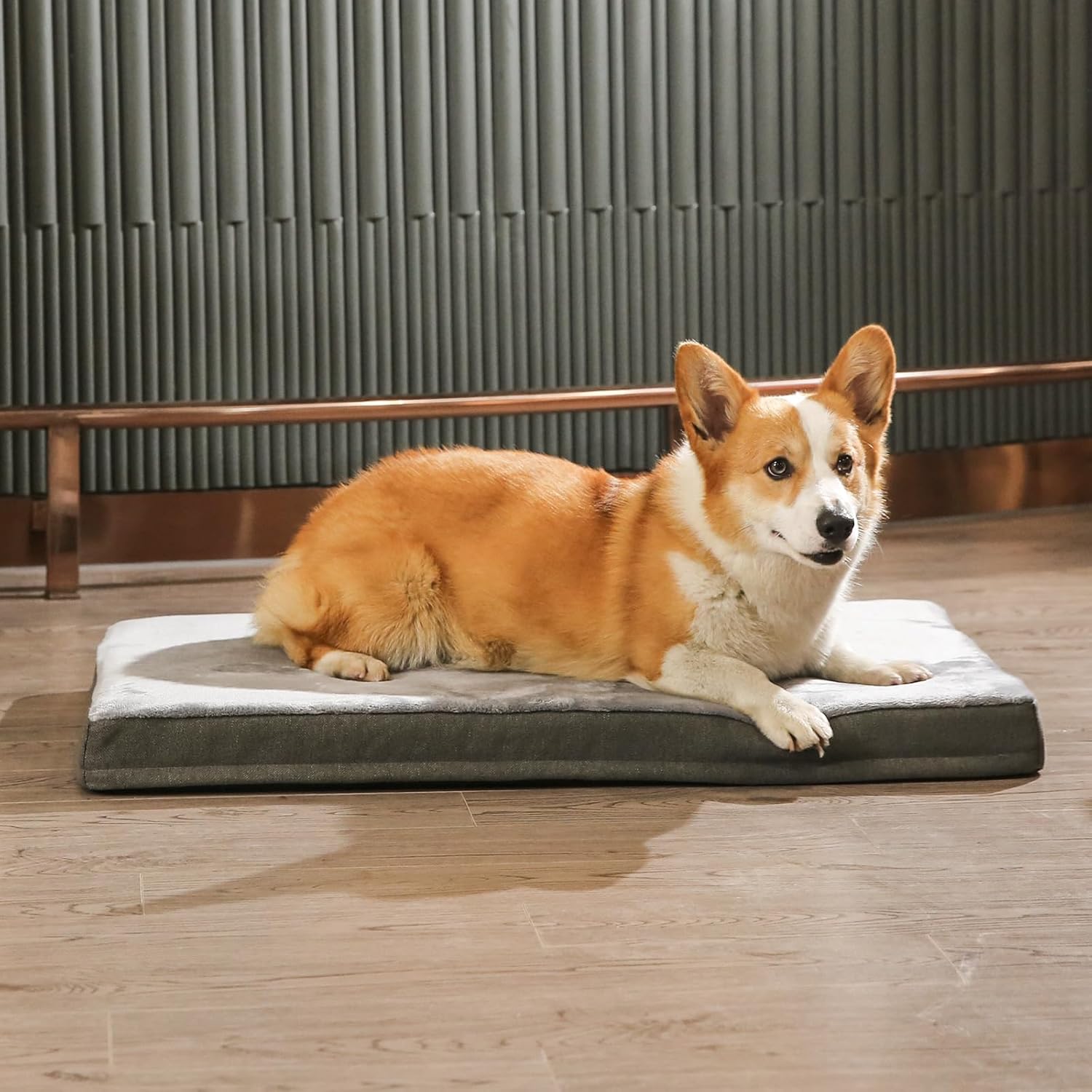 Amazon Basics Washable Dog Bed with Cooling Gel Memory Foam, Pressure-Relief Support for Dogs up to 50lbs, Non-Slip Bottom, Removable Cover, Large (35" x 22"), Grey - Happypetzone.online - Image 7