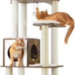 cat climbing tree indoor