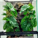 reptile terrarium decor