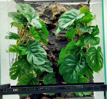 reptile terrarium decor