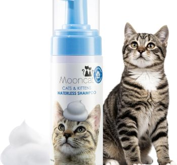 best cat grooming tools