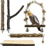 natural bird supplements