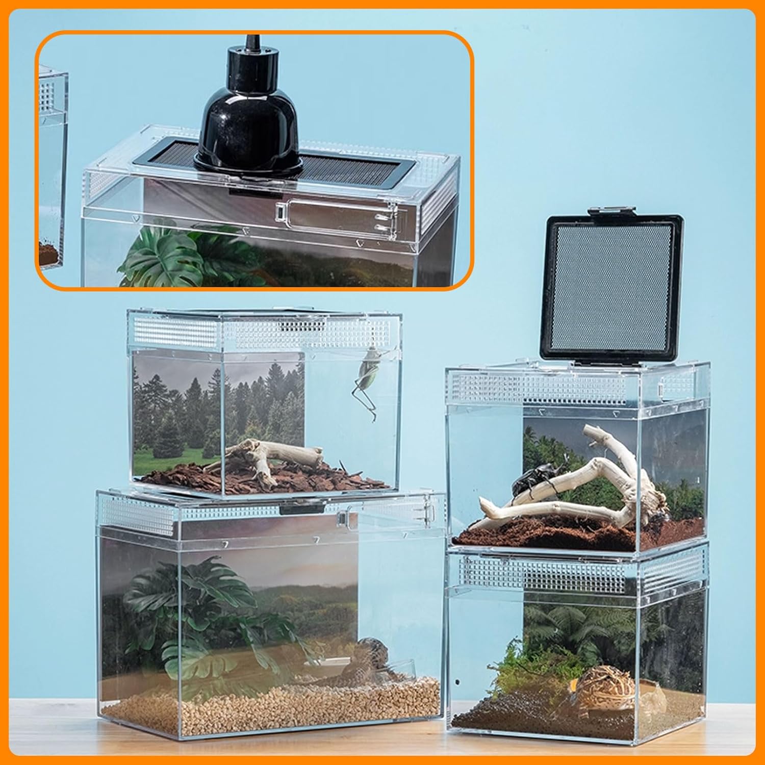 Reptile Terrarium, Jumping Spider Enclosure Starter Kit, Leopard Gecko Habitat Container, 8"x8"x7"Reptile Tank for Tarantula, Hermit Crab, Insect, Fish, Frog, Small Bearded Dragon, Lizard - Happypetzone.online - Image 8