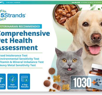 small pet nutrition food