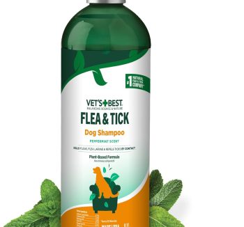 dog flea shampoo