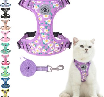 cat harness for small cats