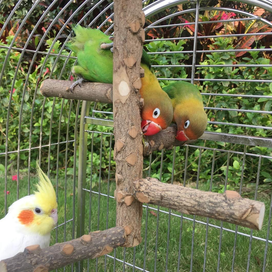 Bird Perch Nature Wood Stand for 3-4pcs Small Medium Parrots (S) - Happypetzone.online - Image 6
