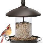 bird food for large birds