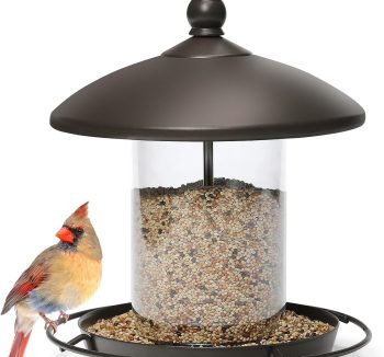 bird food for large birds