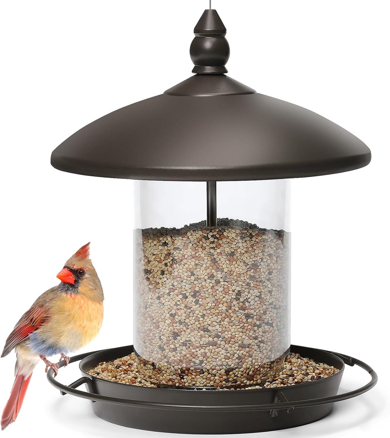bird food for large birds