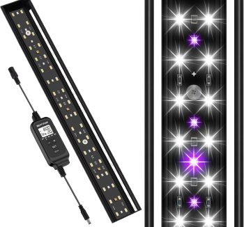 reptile lighting system