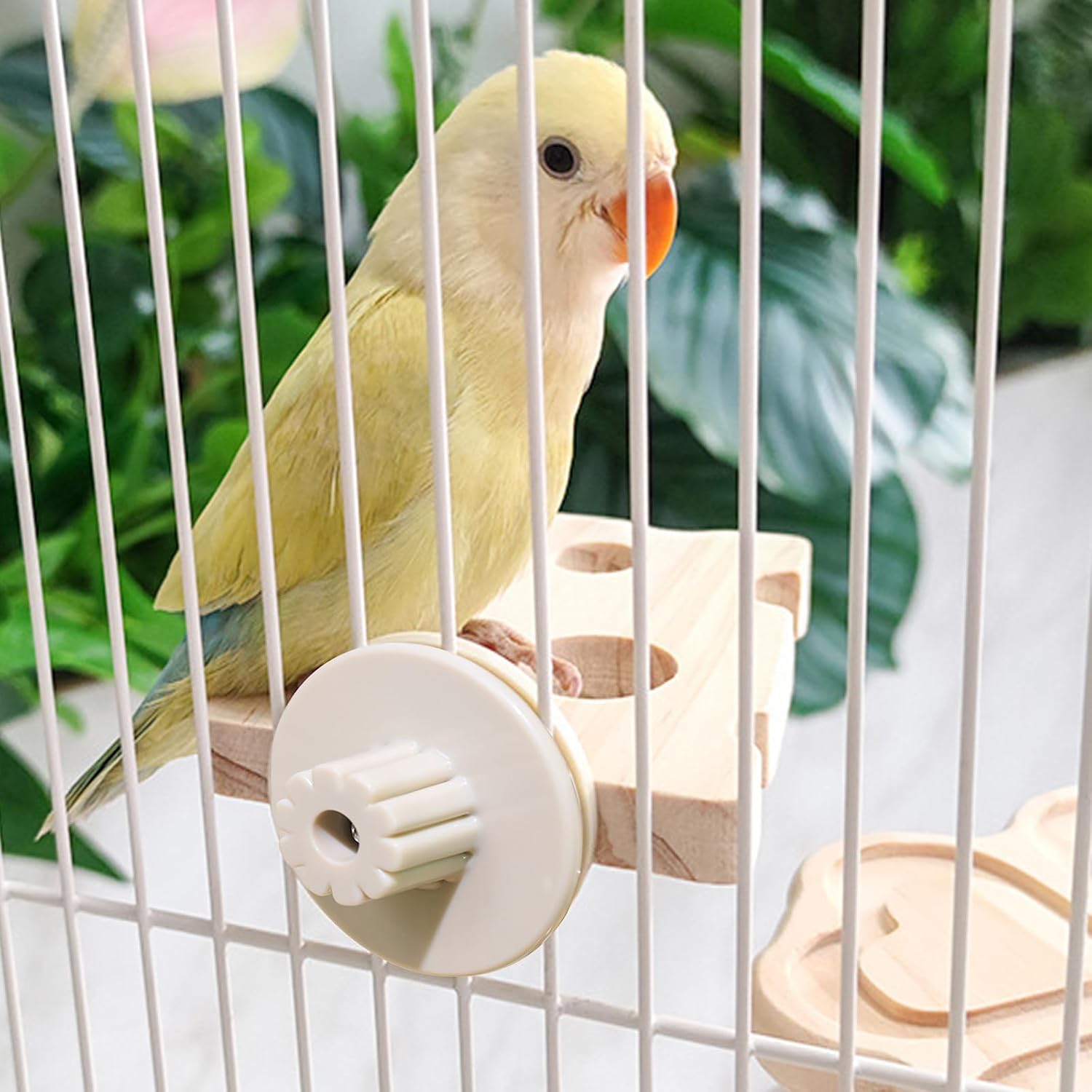 6 Sets Bird Cage Perch Mounting Kit, Plastic Parrot Perch Mount Washer Kit Bird Cage Accessories for DIY Parrot Stand Platform, Paw Grinding Stick, Food Bowl, Breeding Box, Small Animal Playground - Happypetzone.online - Image 5