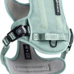 best dog harness for training