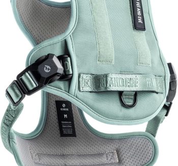 best dog harness for training