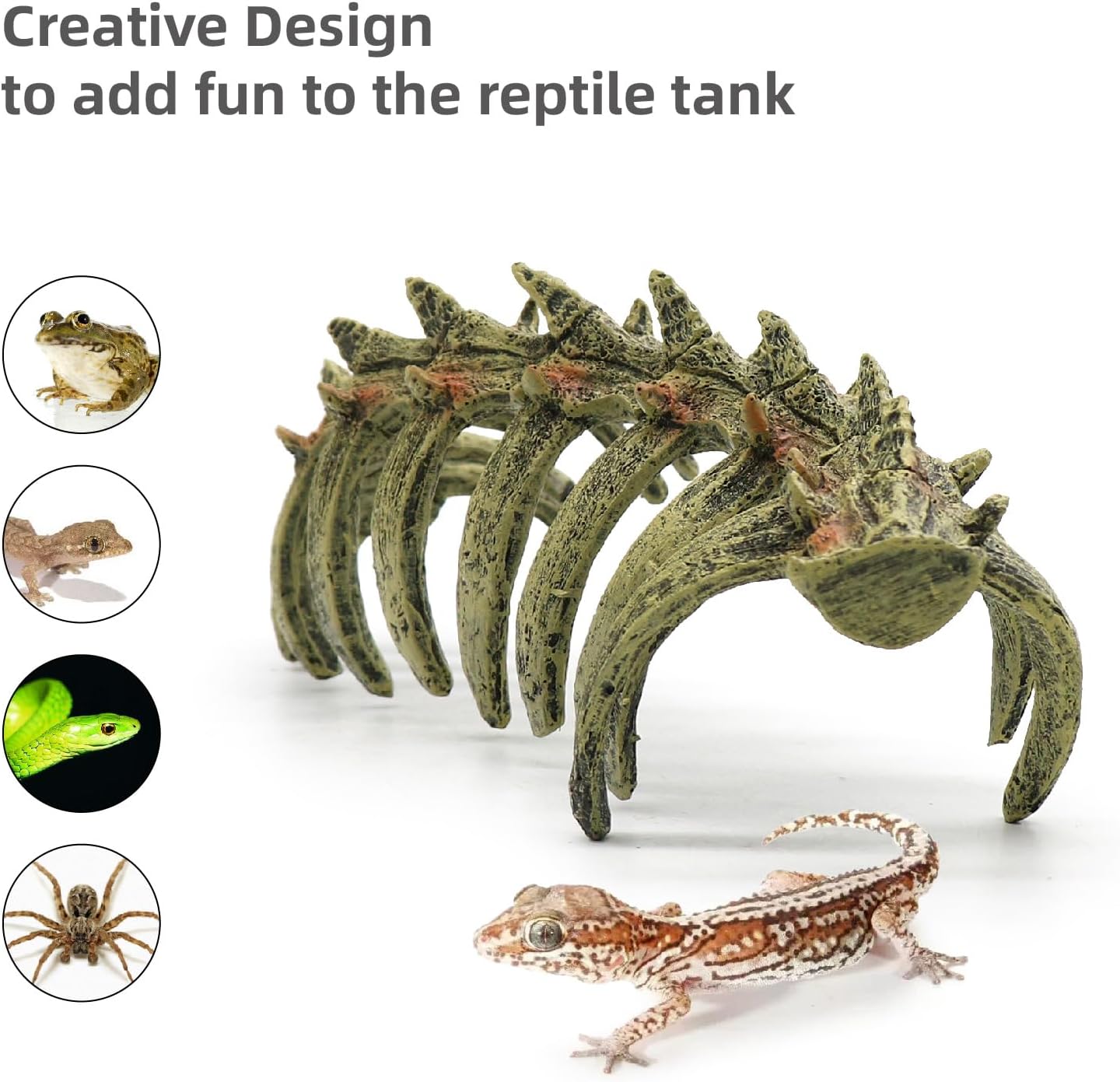 relaqcc Aquarium Skull Animal Skeletons, Reptile Tank Accessories, Fish Tank Decorations for Amphibians, Betta Fish, Shrimp, Hermit Crab, Leopard Gecko - Happypetzone.online - Image 8