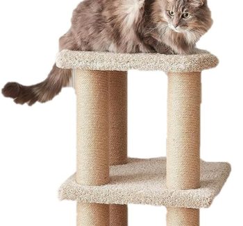 cheap cat tree amazon