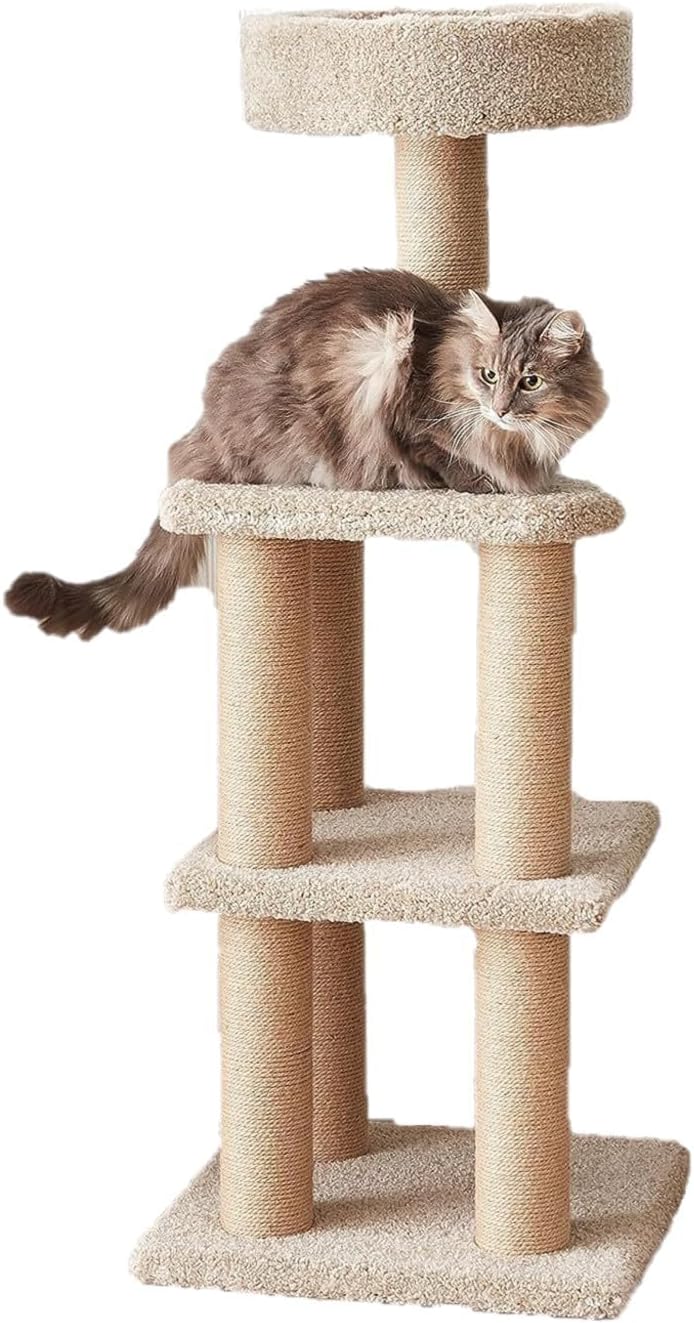 cheap cat tree amazon