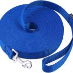 dog leash training