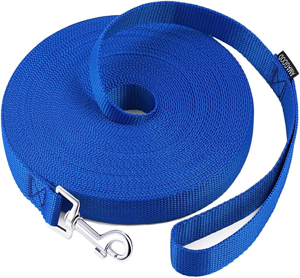 dog leash training