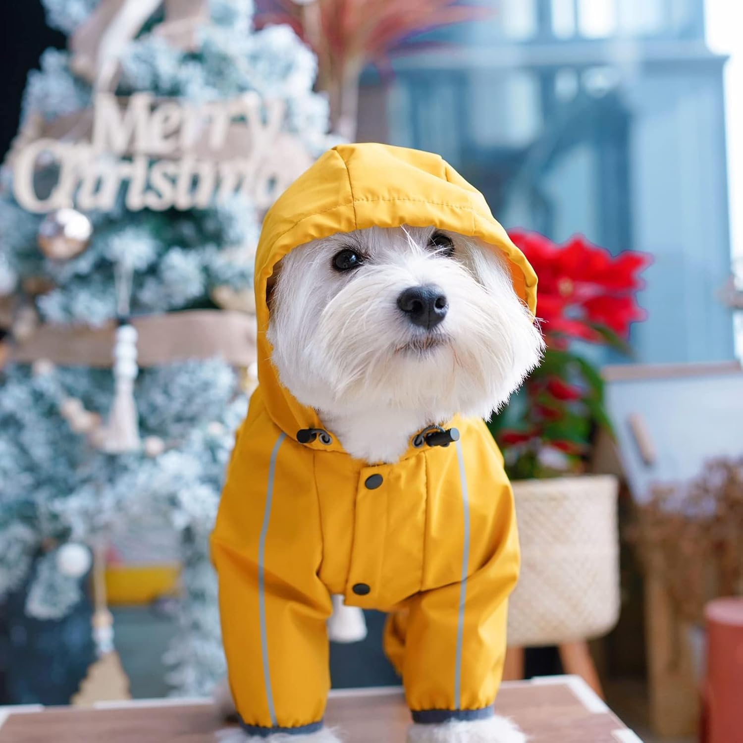 Dog Raincoat, Waterproof Dog Rain Jacket with Hood, Rain Coat with Leash Hole, Reflective Strap for Small Medium Dogs, Outdoor Adventures/Walking Lightweight Puppy (Yellow,M) - Happypetzone.online - Image 5