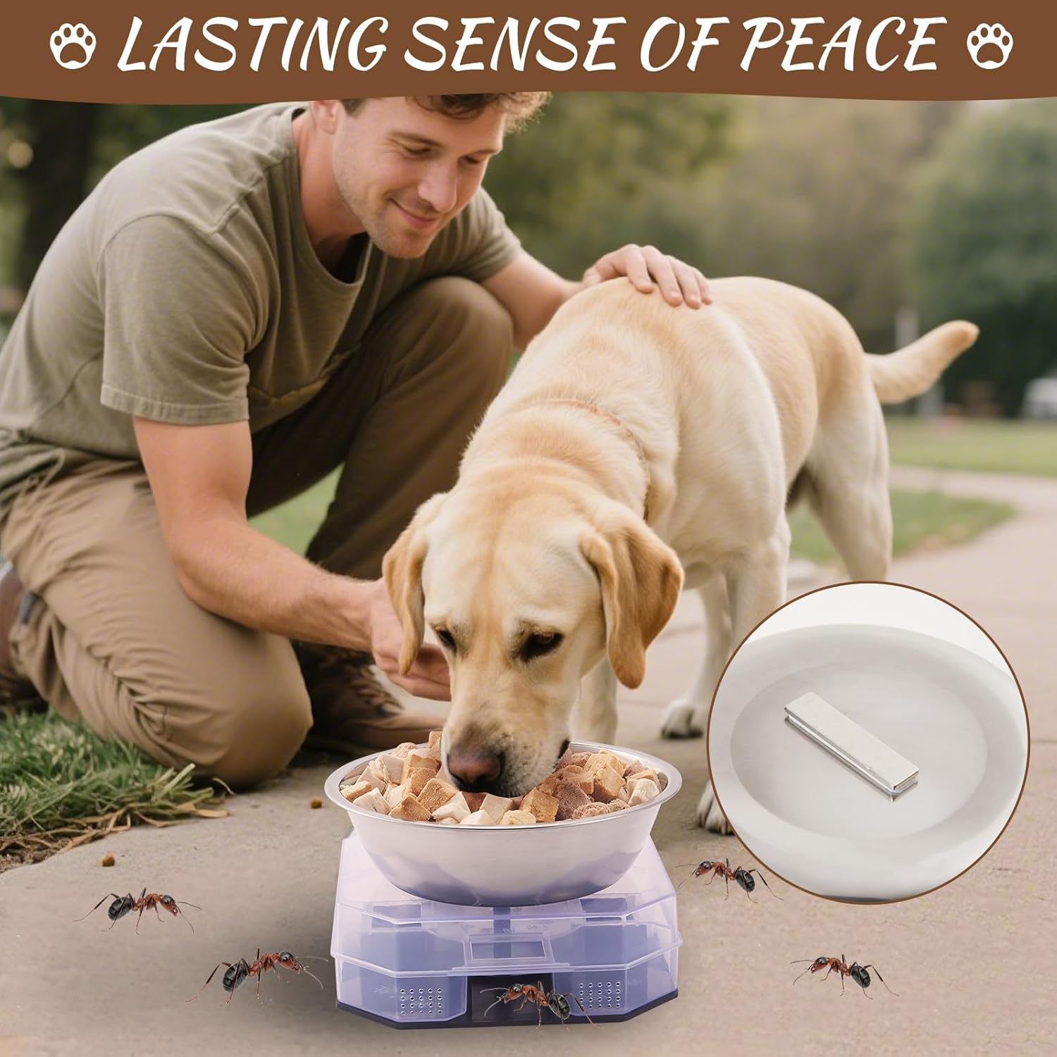 Wellness Pet Food Tray for Ant, Cat Food Bowls Tray Dog Feeding Station Outdoor Feeder Plastic Shelf with Lip for Small Dogs Feral Cats - Happypetzone.online - Image 7