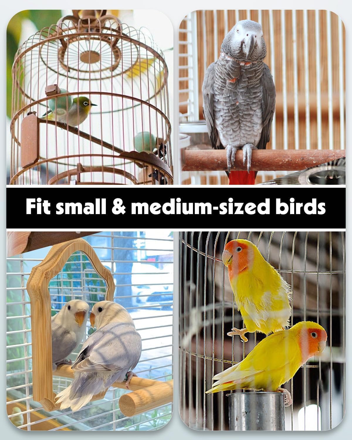 Pawfly Auto Bird Waterer, 2-Pack Cage Dispenser Feeder for Parrots, Hamsters - Small Bird Accessories for Cockatiel, Budgie, Lovebirds (White/Blue) - Happypetzone.online - Image 7