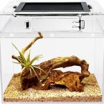 small reptile tank