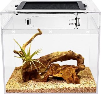 small reptile tank