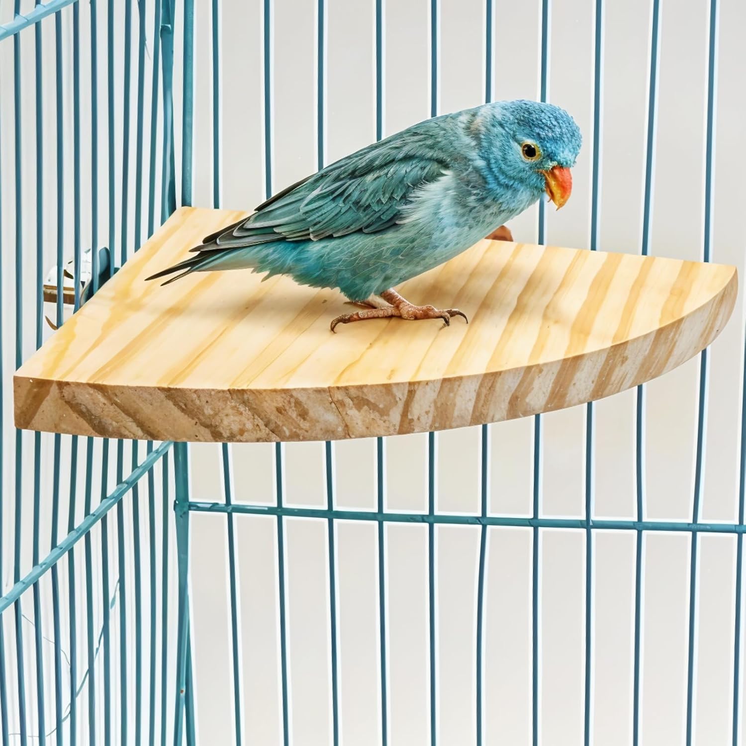 Bird Perch Platform Stand Wooden Parrot Perch Corner 6.7 Inches Fan Shape Playground Cage Accessories Parrot Stand Flat Perches for Bird Cages Corner Shelf for Birds Parrots Hamster Gerbil - Happypetzone.online - Image 4