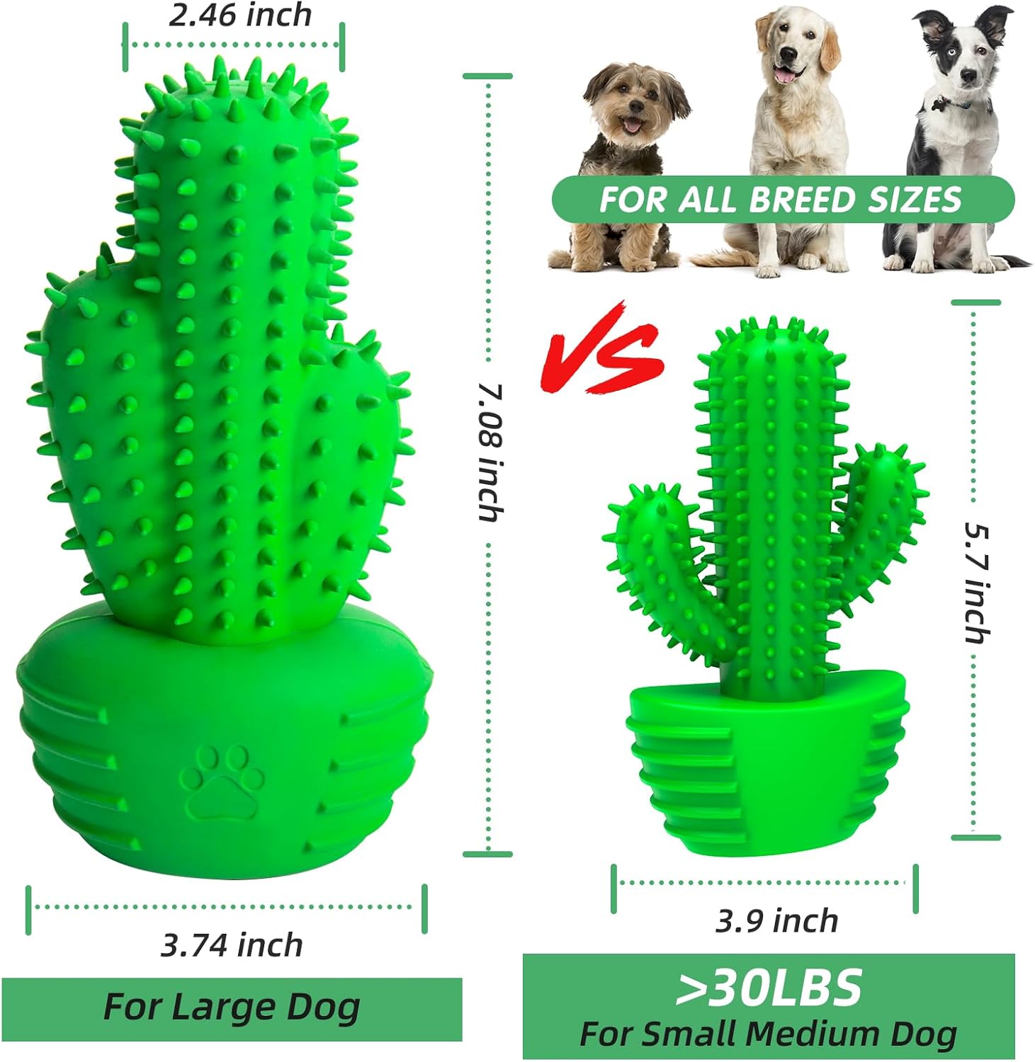 Pamlulu Dog Chew Toys Dog Toothbrush Stick Teeth Cleaning Brush Dental for Medium Large Dog, Puppy Christmas Easter Birthday Gifts, Outdoor Squeaky Toys for Aggressive Chewers Interactive Tough Toys - Happypetzone.online - Image 2