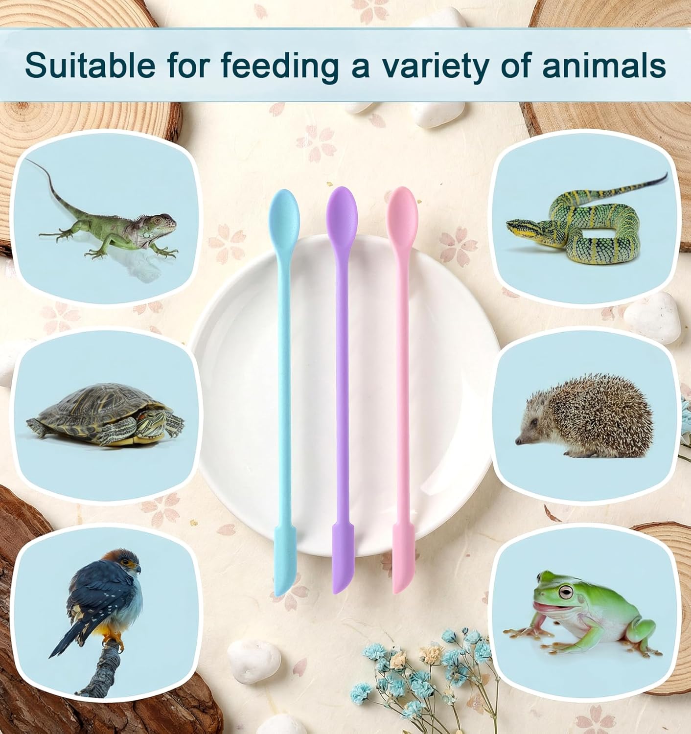 3 Pcs Reptile Spoon, Long Handle Feeding Tool, Suitable for Dust Reptile Food Fruit Mix Feeding, Lizard Gecko Bearded Dragon - Happypetzone.online - Image 7