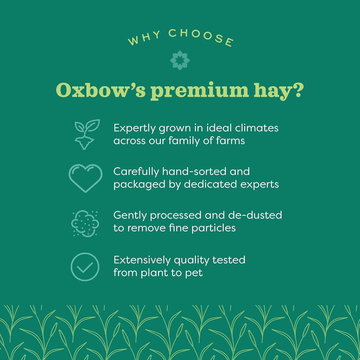Oxbow Western Timothy Hay for Small Pets – All-Natural Grass Hay for Rabbits, Guinea Pigs, and Chinchillas – High Fiber for Digestive Health and Dental Support – 40 oz Bag - Happypetzone.online - Image 17