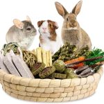 rabbit health care products