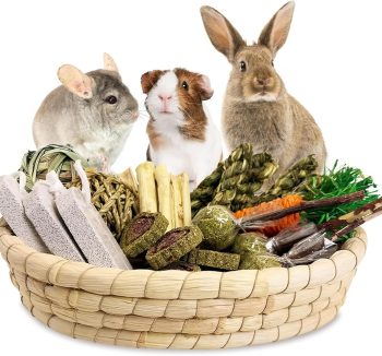 rabbit health care products