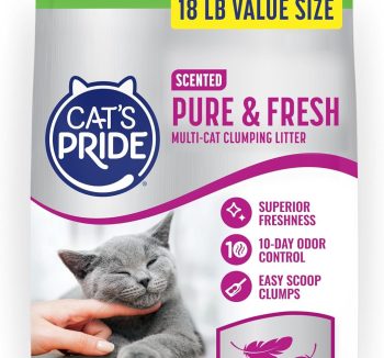 cheap cat grooming kit