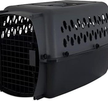 dog travel crate