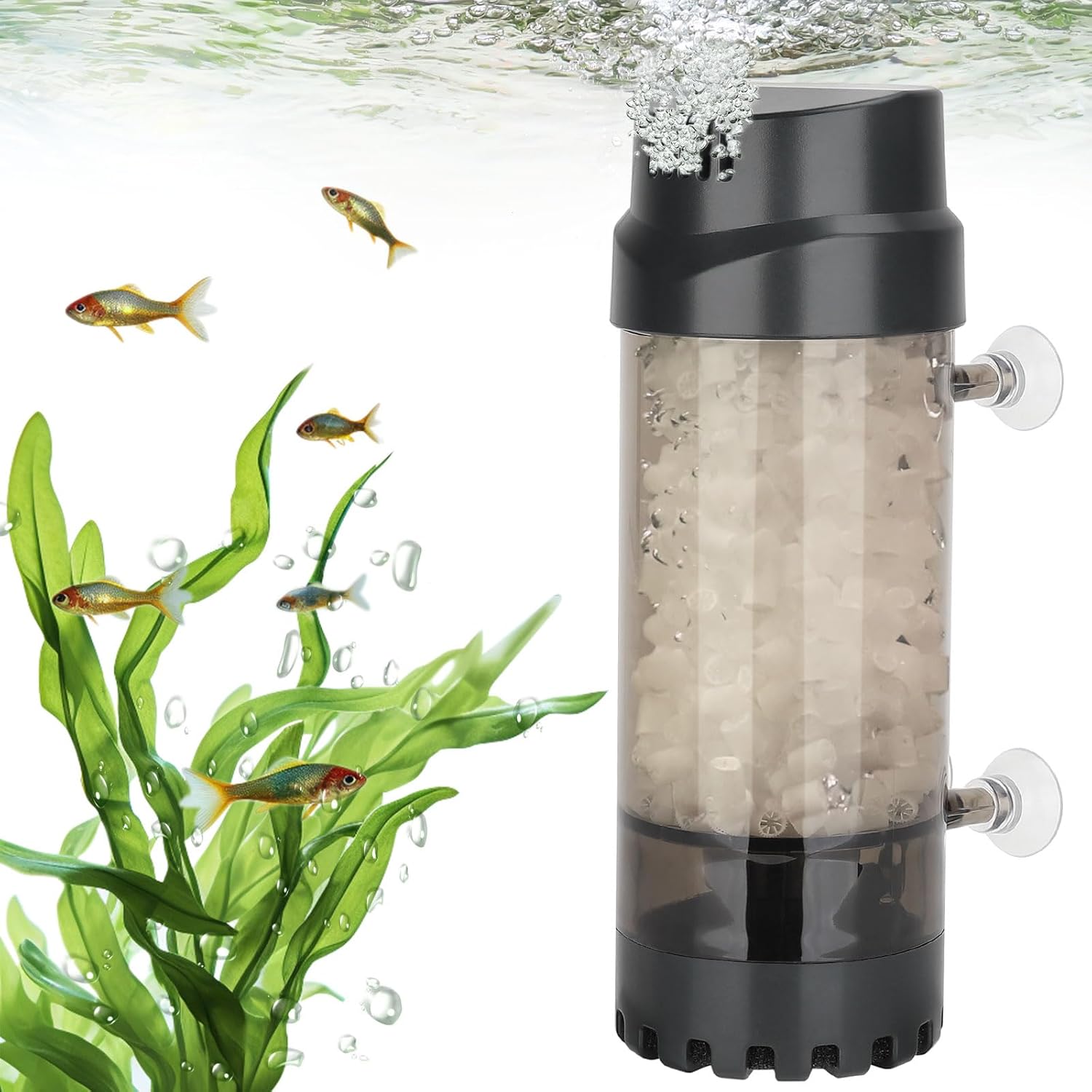 best filter for aquarium