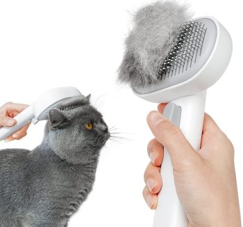 cat brush for shedding