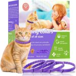 cat calming treats