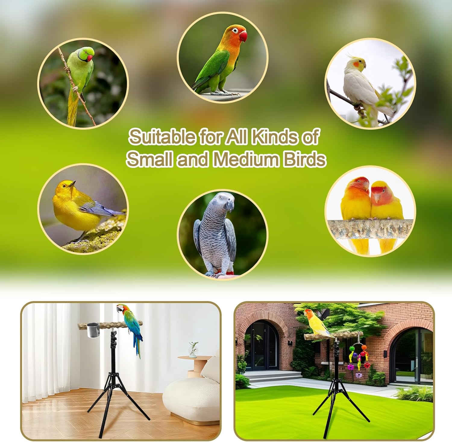 16-63 Inch Height Adjustable Bird Perch Pepper Wood Bird Training Perch Stand Parakeet Perches Indoor and Outdoor Parrot Stands for Small to Medium Bird - Happypetzone.online - Image 7