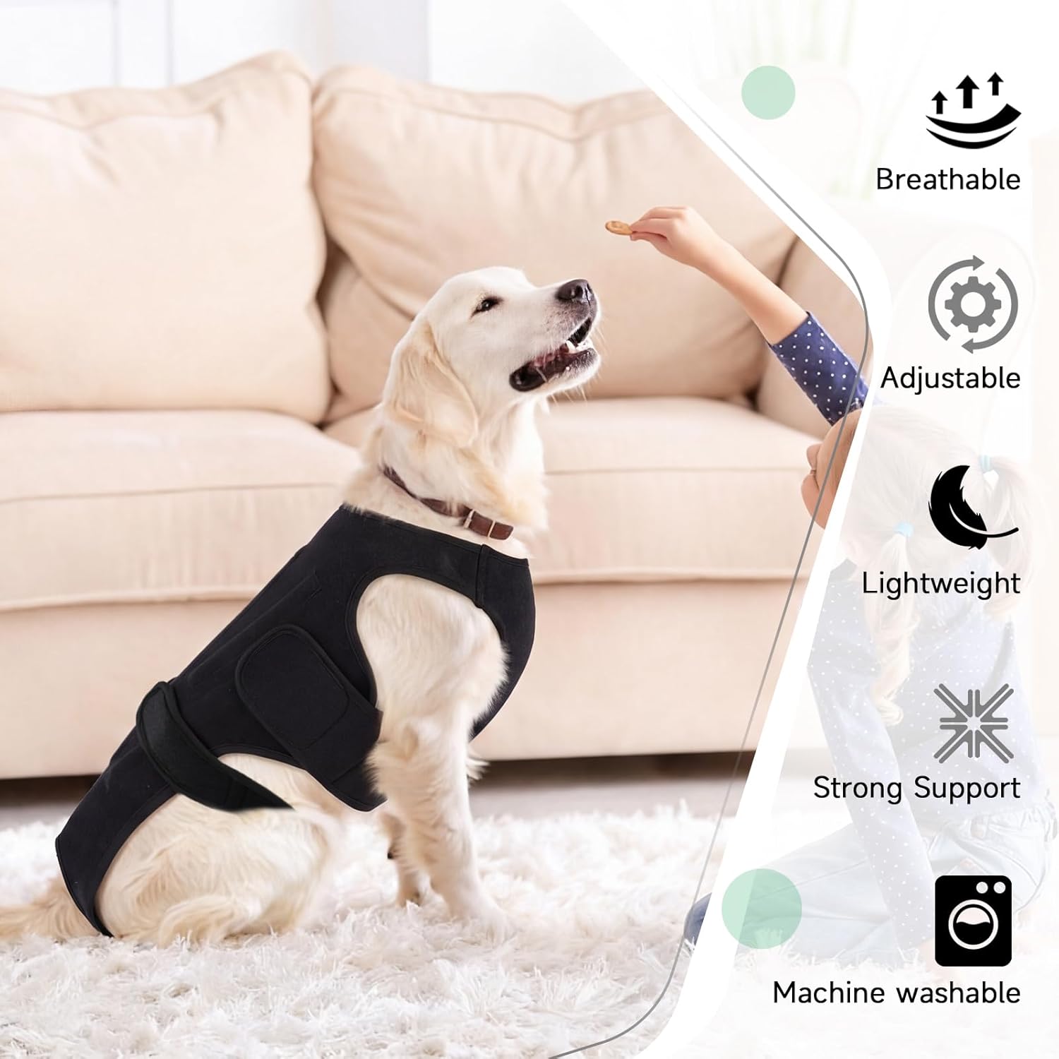 Back Brace for Dogs with Arthritis, IVDD Mobility Back Brace for Pet, Strong Dog Spine Stability Support, Breathable & Adjustable for Joint & Hip Support Senior or Less Mobile Dogs, Black L - Happypetzone.online - Image 7