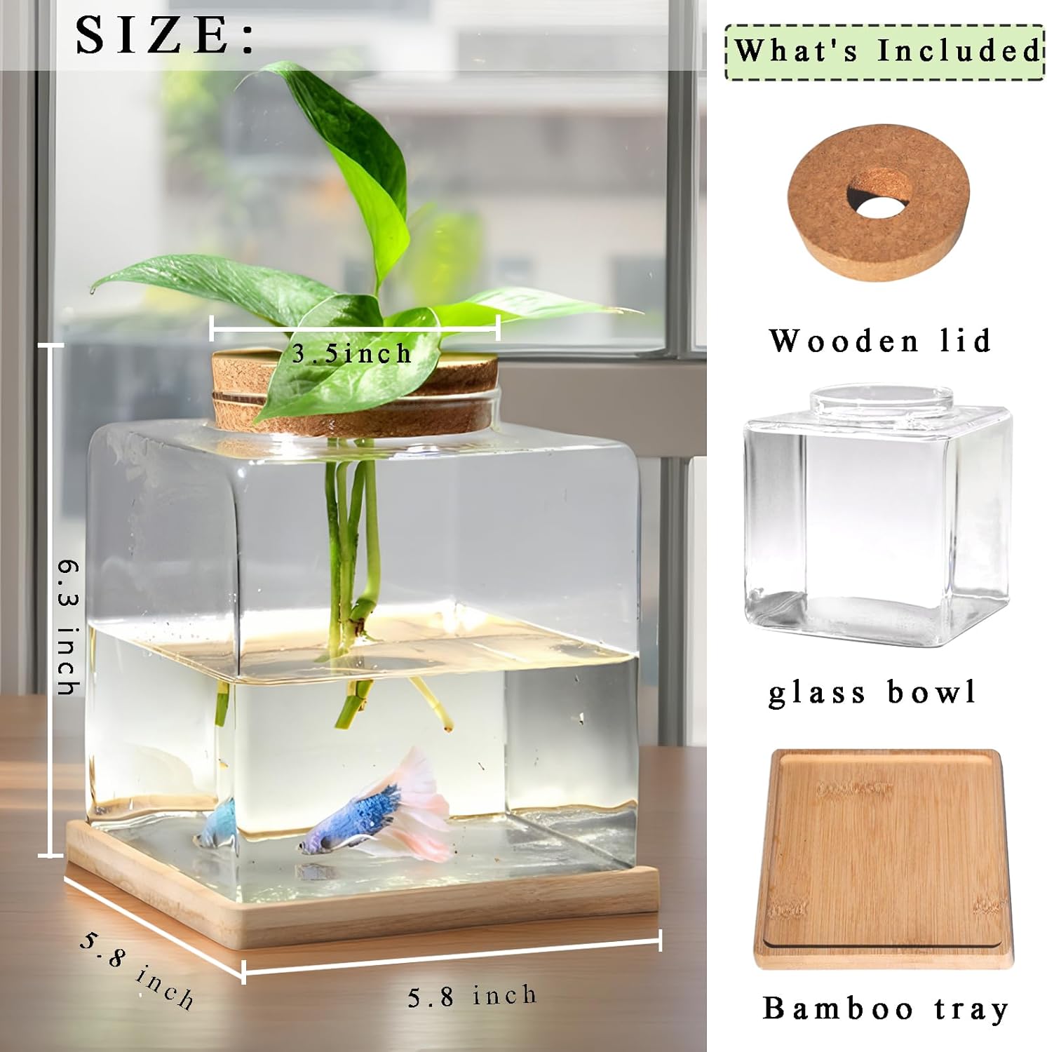 Desktop Betta Fish Tank with Wood Lid and Bamboo Stand Small Fish Bowl Glass for Beta Fish Hydroponic Plant Terrarium Aquarium Starter Kit 0.5 Gallon - Happypetzone.online - Image 3