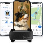 dog collar gps tracker