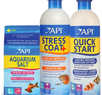 aquarium starter bundle