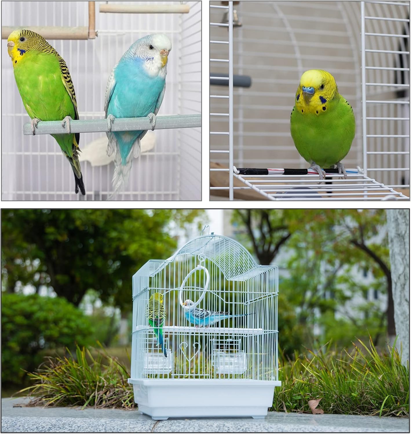 Small Bird Travel Cage-Lightweight Small Birds Starter Kit with Birdcages and Accessories Great for Parakeets Lovebirds Parrotlets Finches Canaries Removable Plastic Tray Include - Happypetzone.online - Image 6