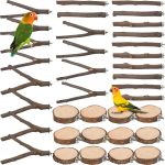 bird perch for small birds