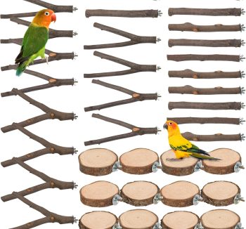 bird perch for small birds
