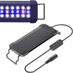 reptile uvb light for bearded dragon